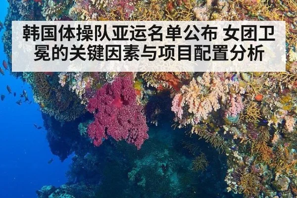 韩国体操队亚运名单公布 女团卫冕的关键因素与项目配置分析