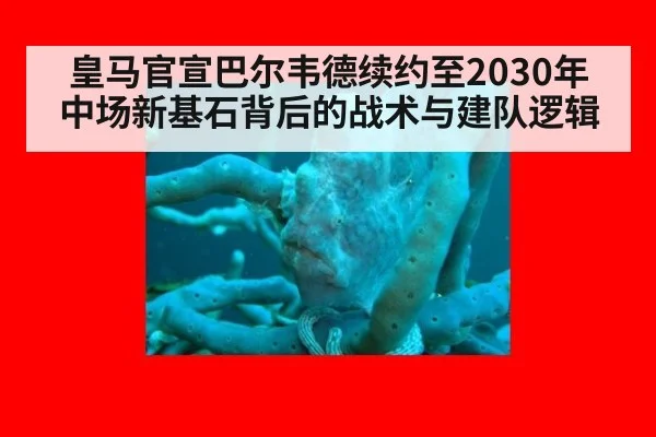 皇马官宣巴尔韦德续约至2030年 中场新基石背后的战术与建队逻辑